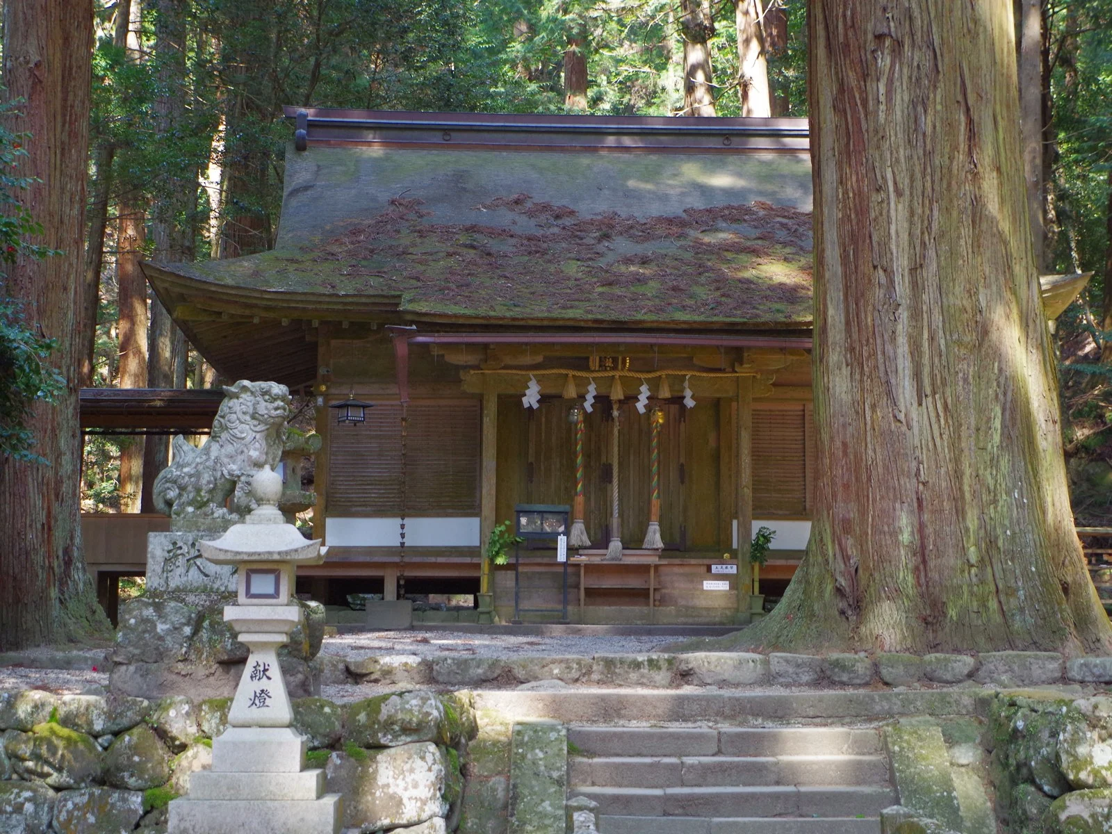 杉の大木に囲まれた室生龍穴神社の木造社殿