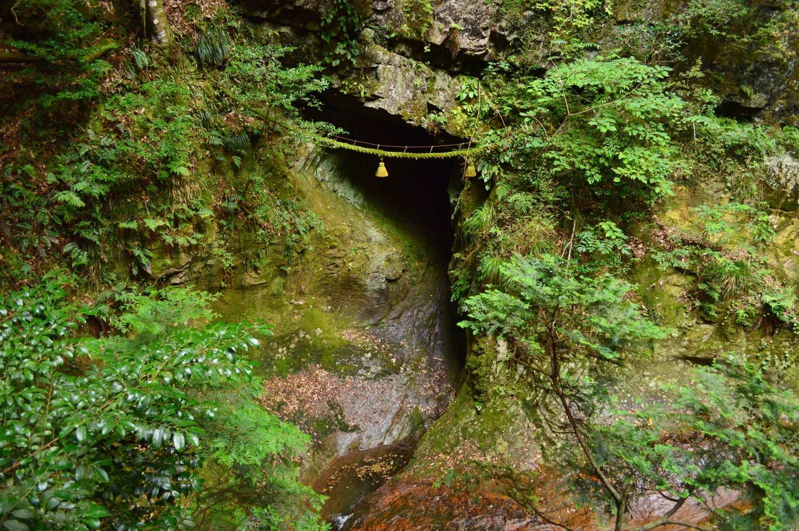 緑の岩壁に開き、しめ縄が渡された室生の吉祥龍穴