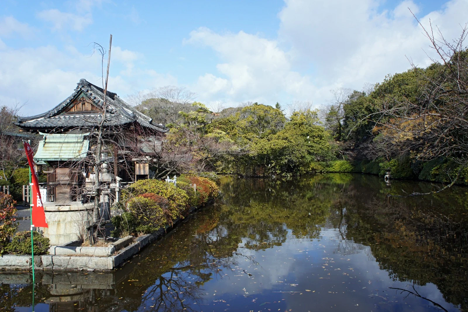 神泉苑の池と、水面に映る木々や水辺の社殿